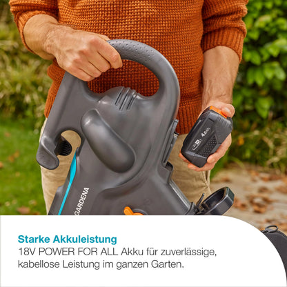 2026 Akku Laubsauger Bläser PowerJet 18V P4A Solo starker Luftstrom schneller Moduswechsel Fangsack 14895 55 Black