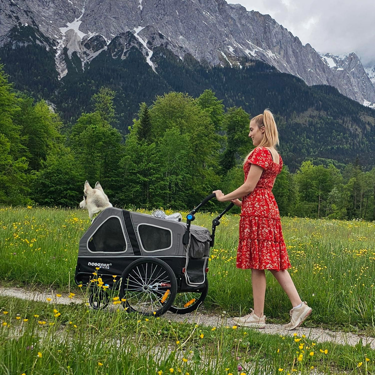 2026 Doggyhut S-Line XL Hundeanhänger & Hundebuggy mit Federung 2 in 1 Hunde Fahrradanhänger Jogger gefedert bis 45 kg