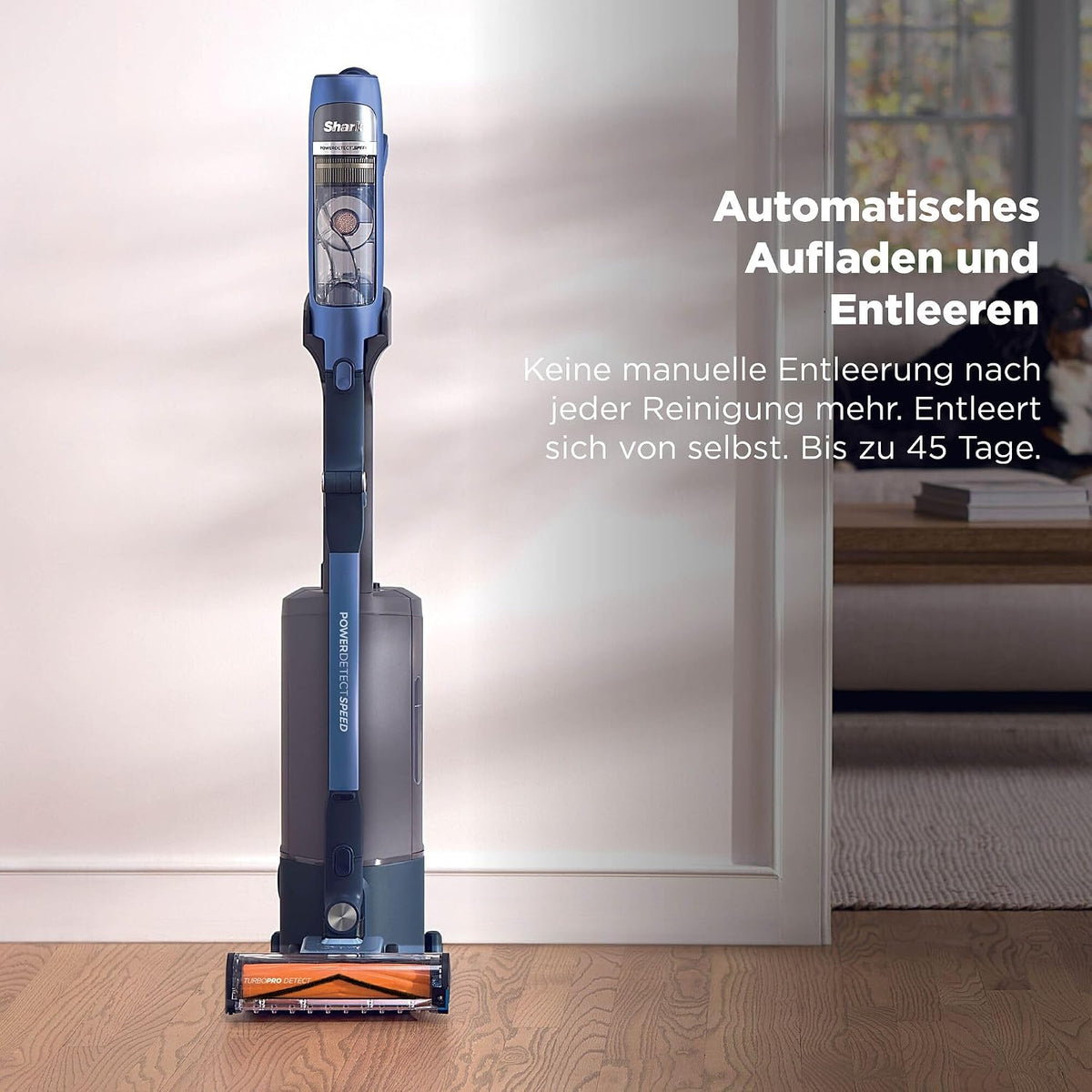 2026 Shark Detect Speed Clean & Empty Pet Pro Akku-Staubsauger, IA3241EUT, Salbeigrau