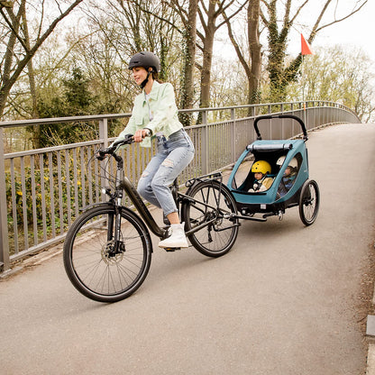2026 hauck Fahrradanhänger & Kinderwagen Dryk Duo Plus mit Federung, für 2 Kinder (6-48 Monate), inkl. Deichsel, Buggyrad, Fahne und LED Licht, Faltbar, Höhenverstellbar, XL Kofferaum (Dark Green)