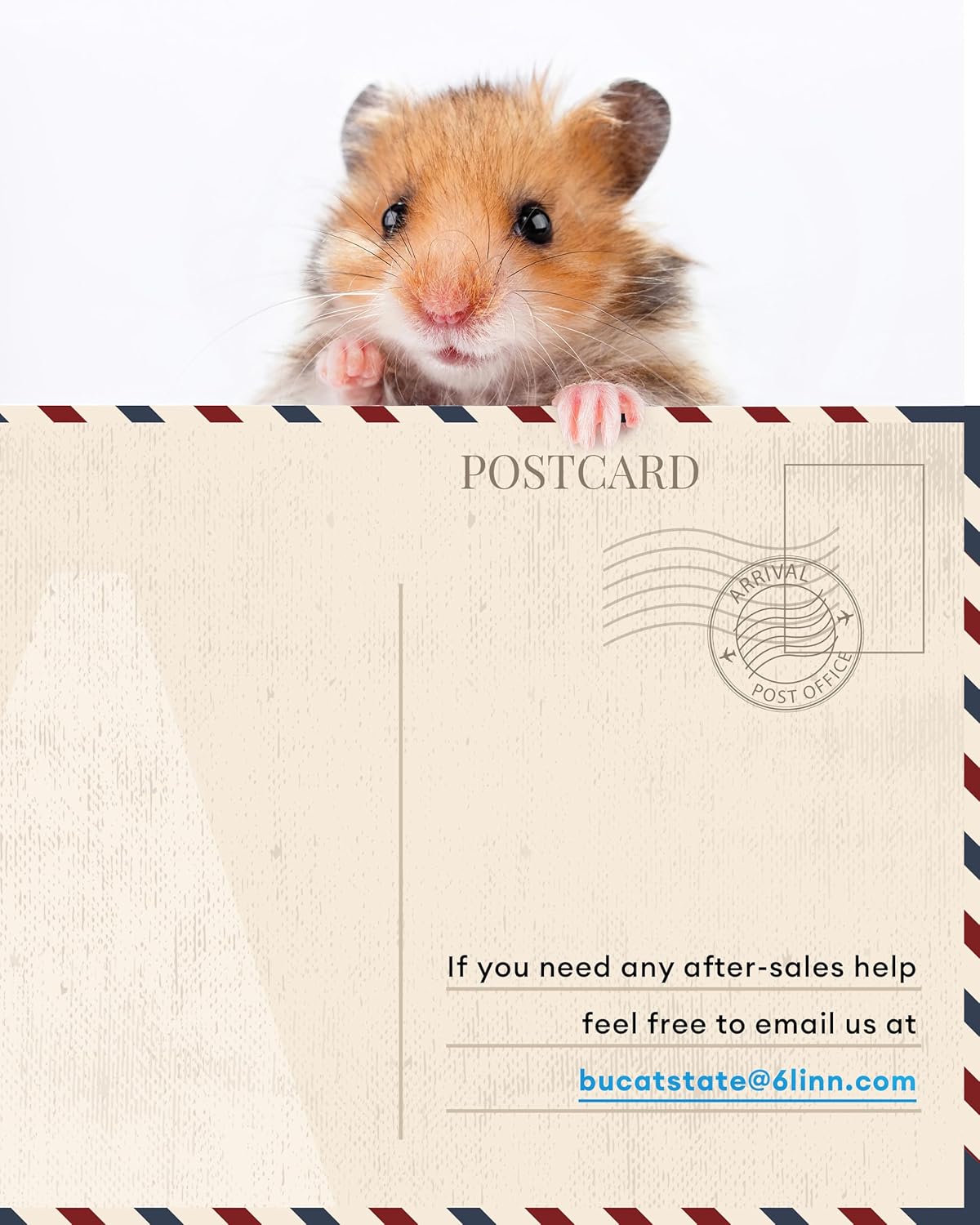 2026 BUCATSTATE Hamsterkäfig 3,0: Metall Rattenkäfig Kleintierkäfig Groß Stapelbar mit Einfacher Montage 120L x 60W x 62H cm für Nager, Mäuse, Zwerghamster (0,72m², Weiß)